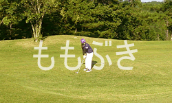 ���f�B�[�X�f�[�S���t��